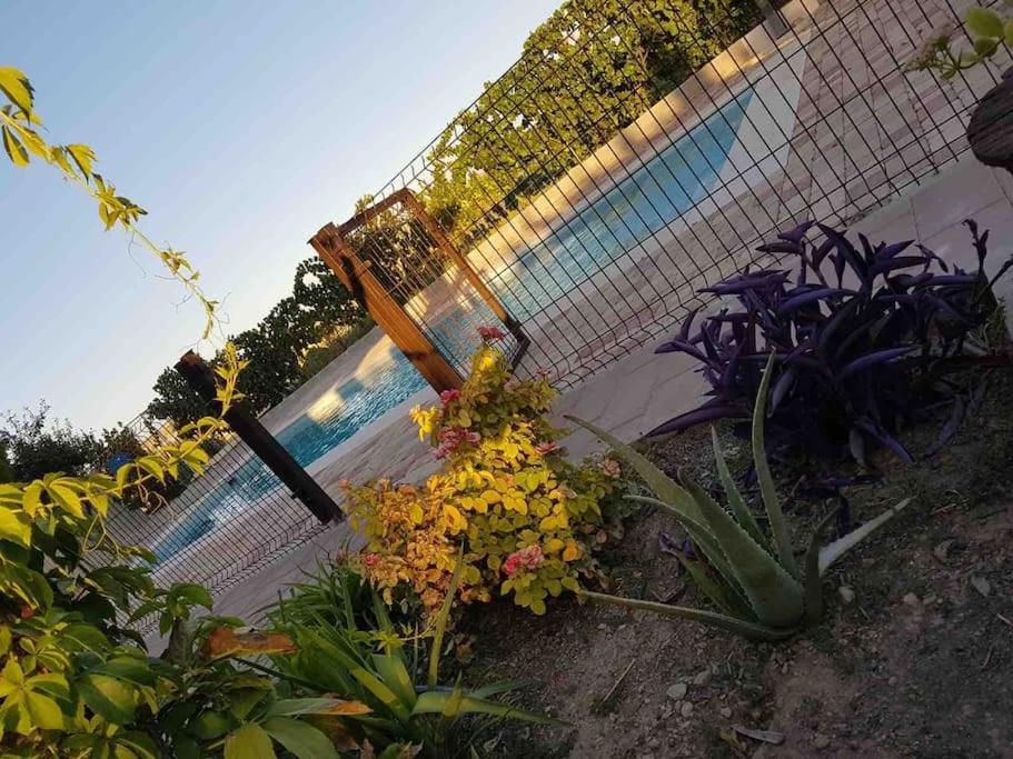 Casa Rural Alma Totanes Exterior photo
